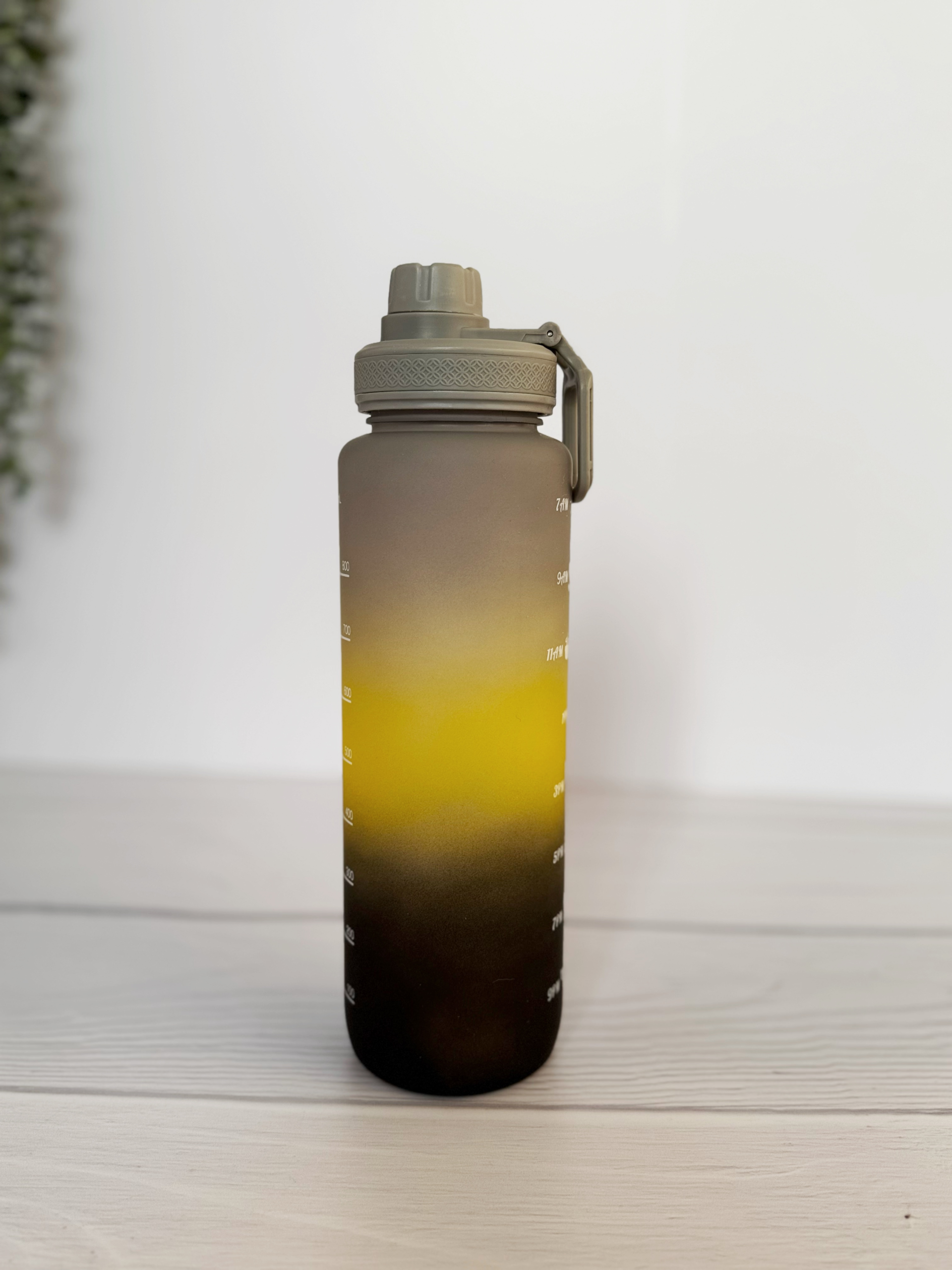 قمقمه ورزشی رنگی مدل Hydrate Pro